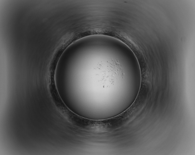 X0000094780738200711161415