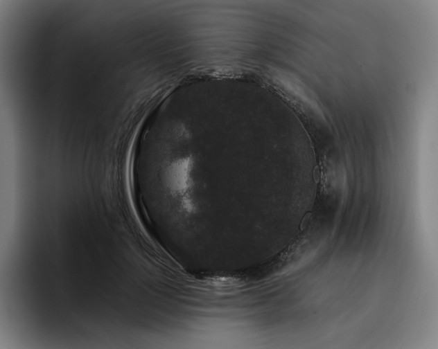 X0000094780748200711161415