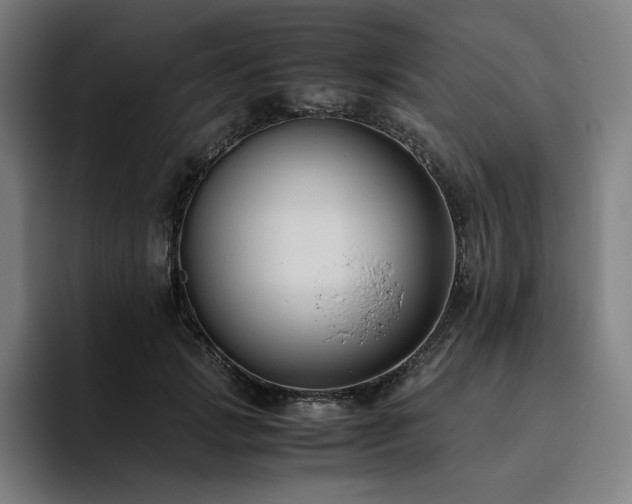X0000094780749200711161415