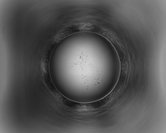 X0000094780755200711161416