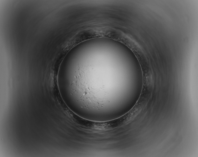 X0000094780757200711161416