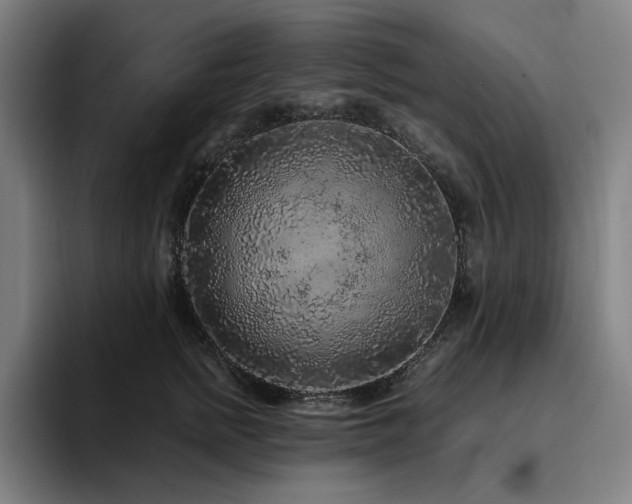 X0000094780758200711161416