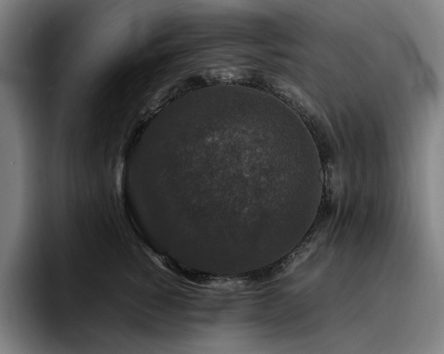 X0000094780760200711161416