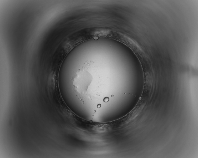 X0000094780761200711161416