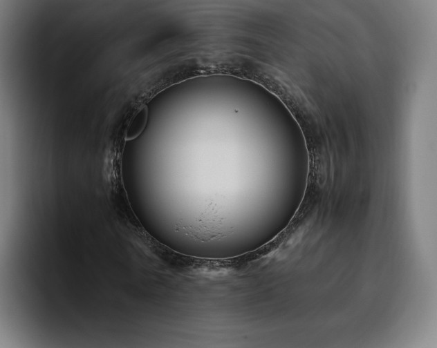 X0000094780770200711161415
