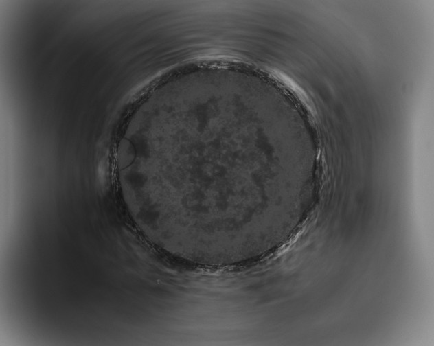 X0000094780775200711161415