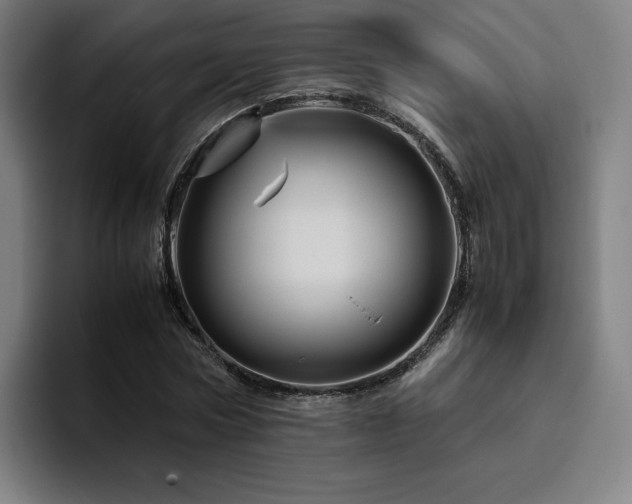 X0000094780778200711161415