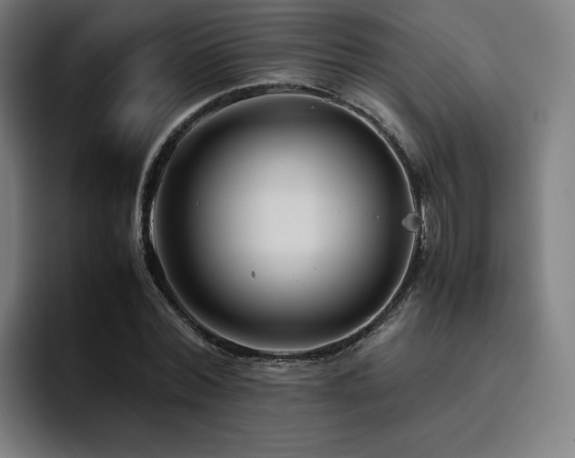 X0000094780780200711161415