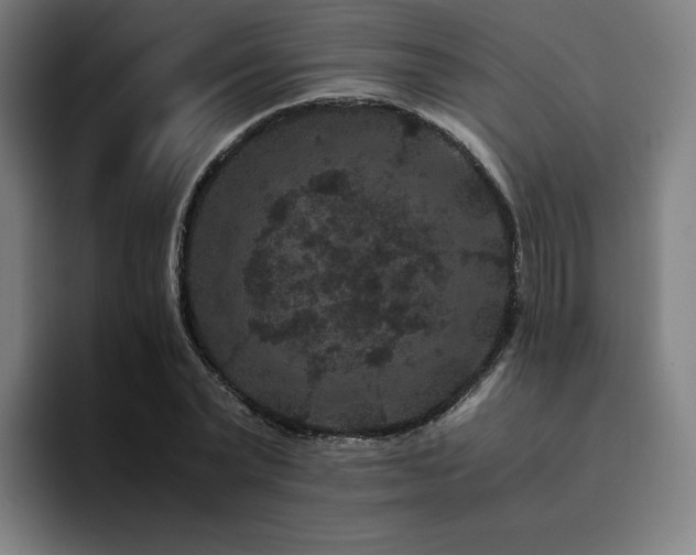 X0000094780783200711161415