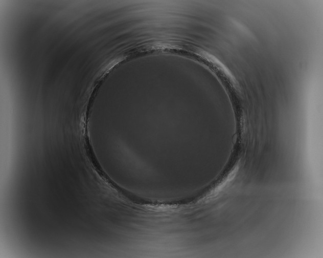 X0000094780785200711161415