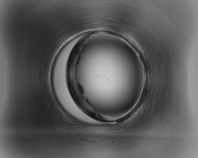 X0000094780789200711161415