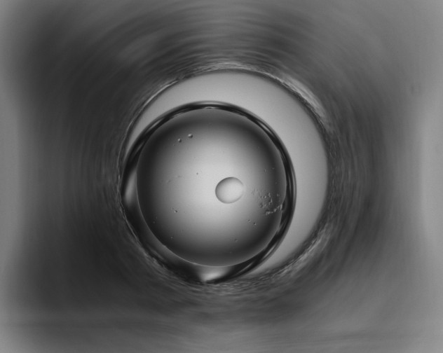 X0000094780793200711161415