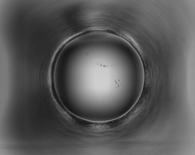 X0000094780795200711161415