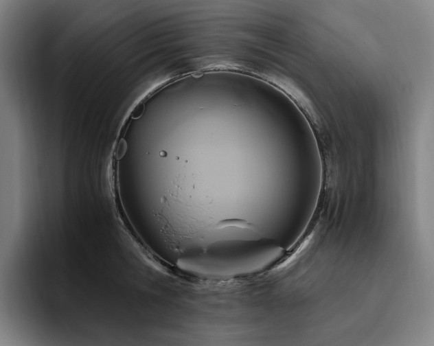 X0000094780806200711161415