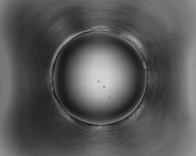 X0000094780808200711161415