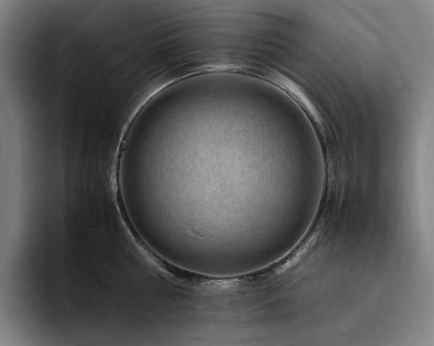 X0000094780810200711161415