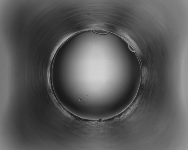 X0000094780812200711161415