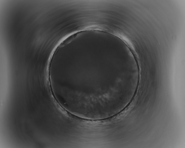 X0000094780816200711161414