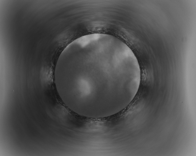 X0000094780820200711161414