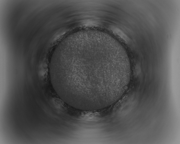X0000094780824200711161414
