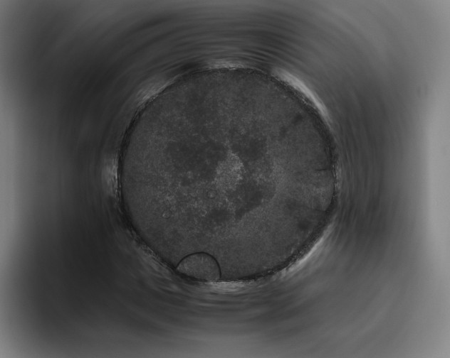 X0000094780825200711161414