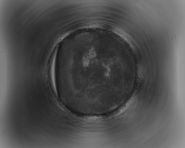 X0000094780826200711161414