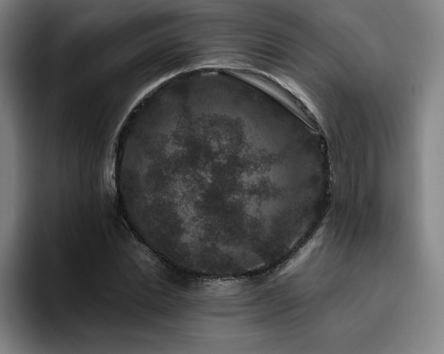 X0000094780830200711161414