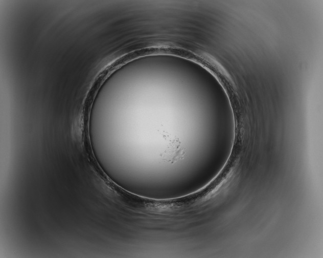 X0000094780831200711161414