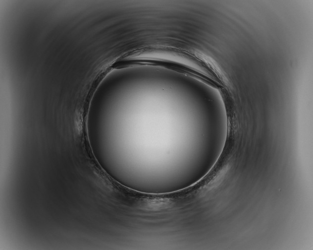 X0000094780833200711161414
