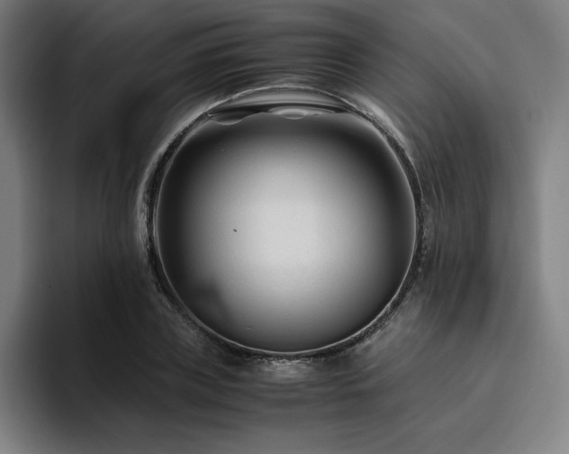 X0000094780835200711161414