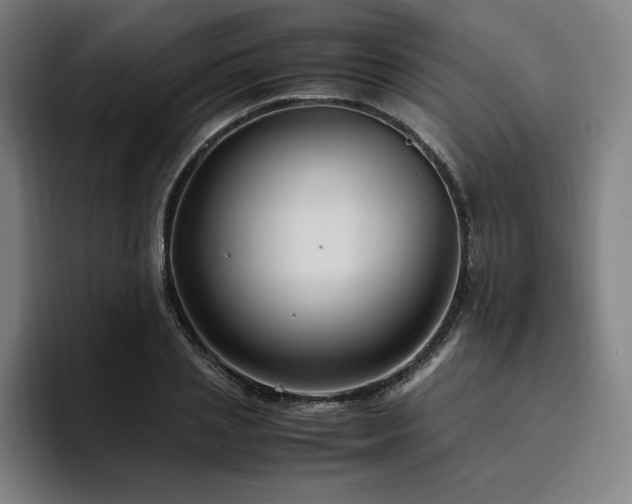 X0000094780837200711161414