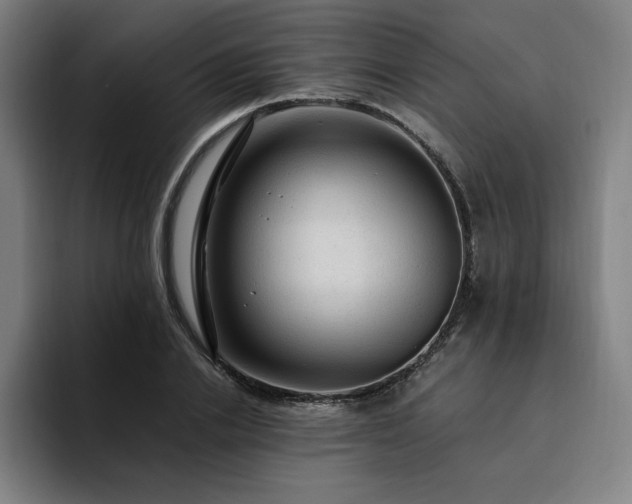 X0000094780838200711161414