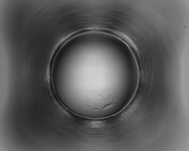 X0000094780839200711161414