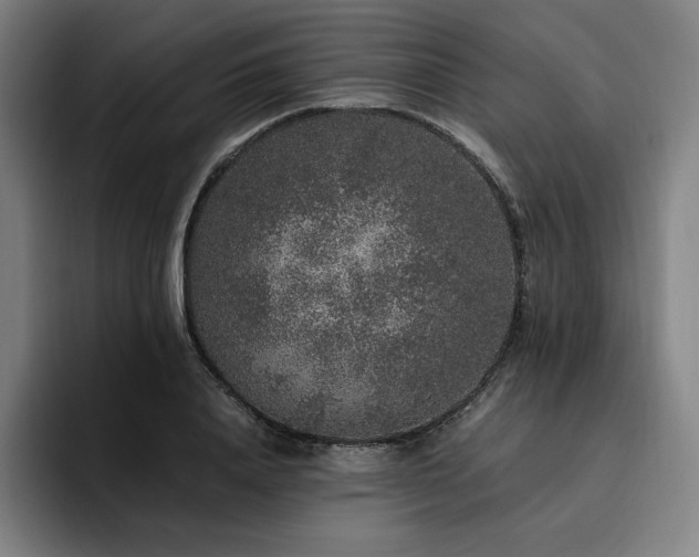 X0000094780840200711161414