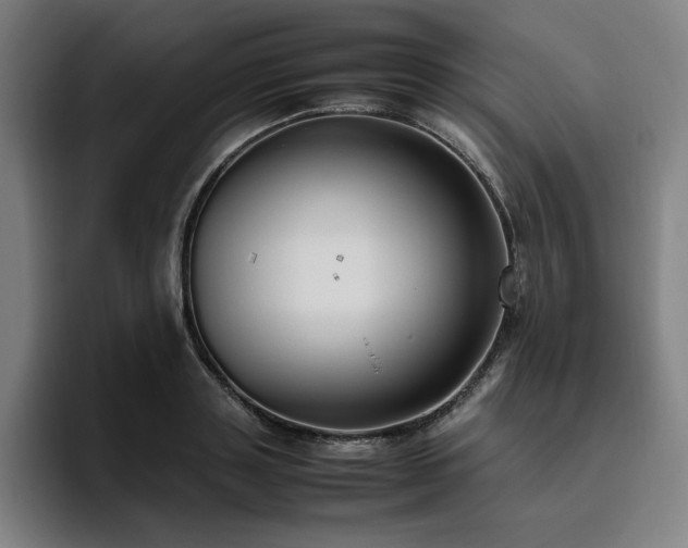 X0000094780843200711161414