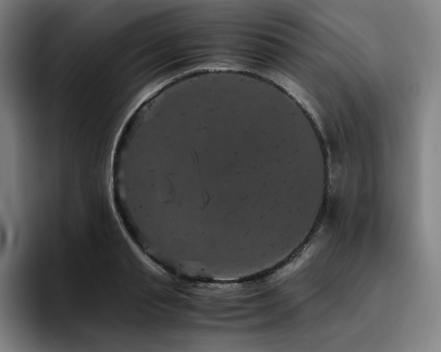 X0000094780845200711161414