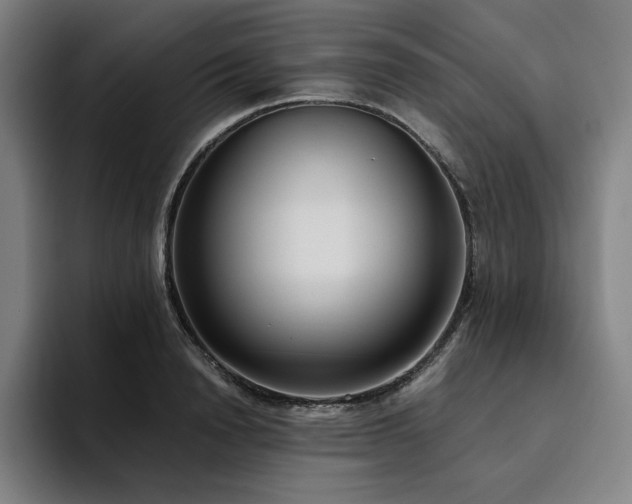 X0000094780846200711161414