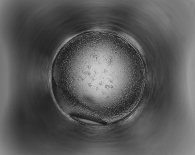 X0000094780855200711161414