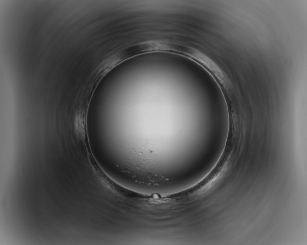 X0000094780857200711161414