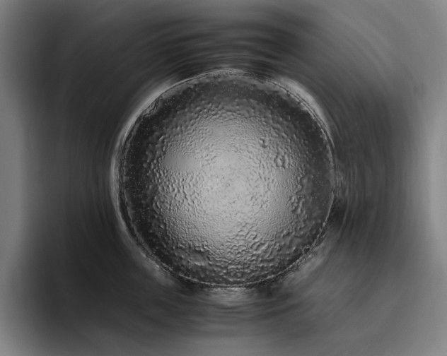 X0000094780859200711161414