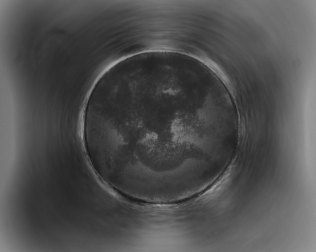 X0000094780862200711161414