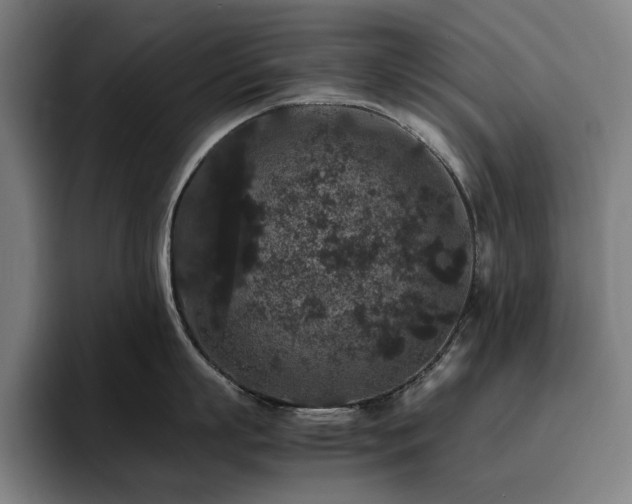 X0000094780863200711161414