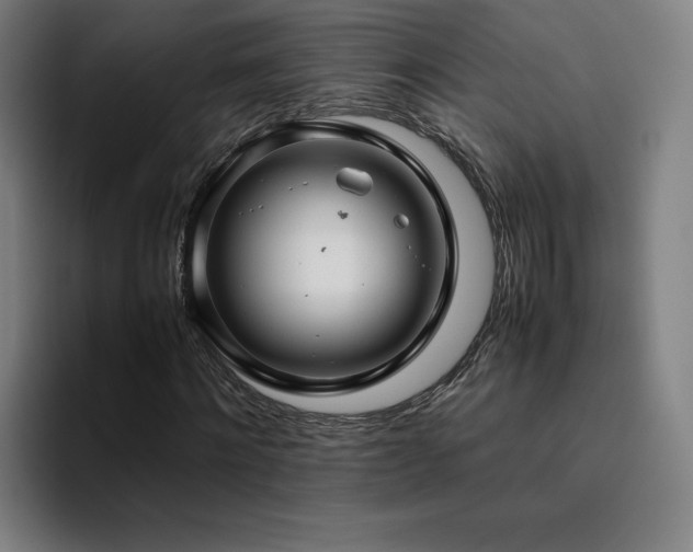 X0000094780868200711161414