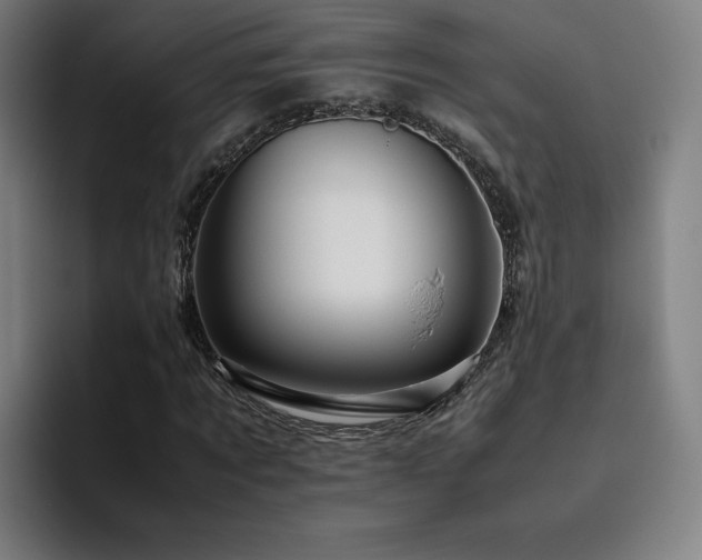 X0000094780869200711161414
