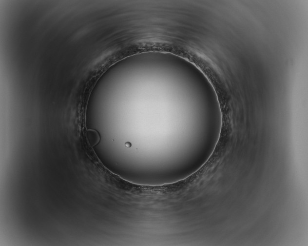 X0000094780870200711161414