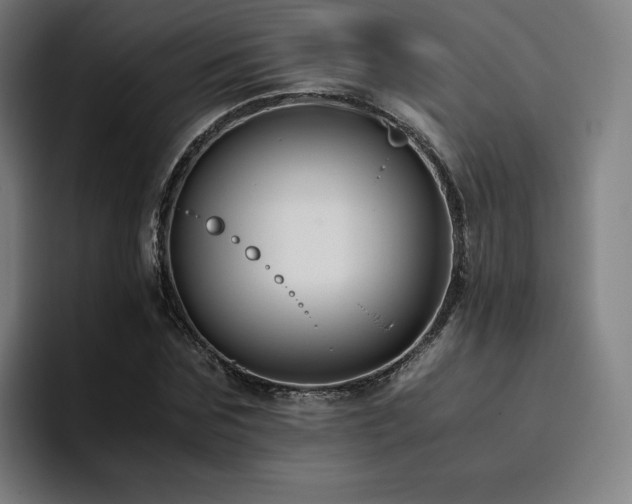 X0000094780875200711161414