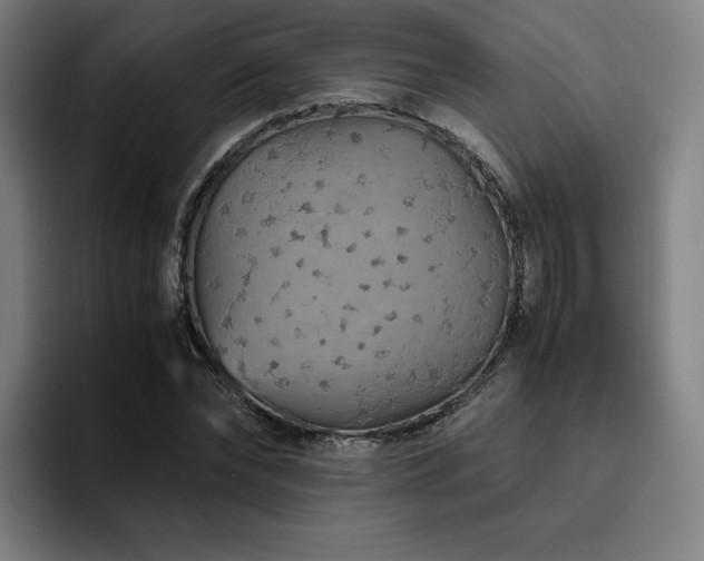 X0000094780878200711161414