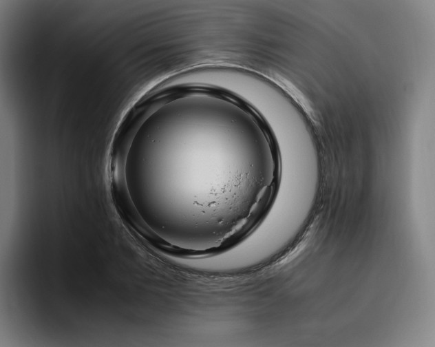 X0000094780885200711161414