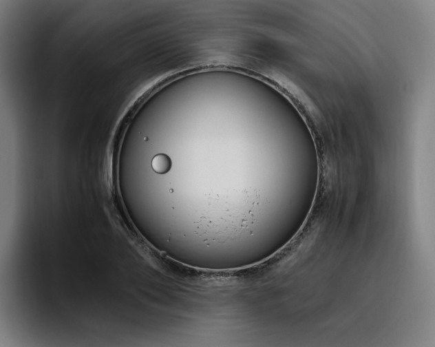 X0000094780886200711161414
