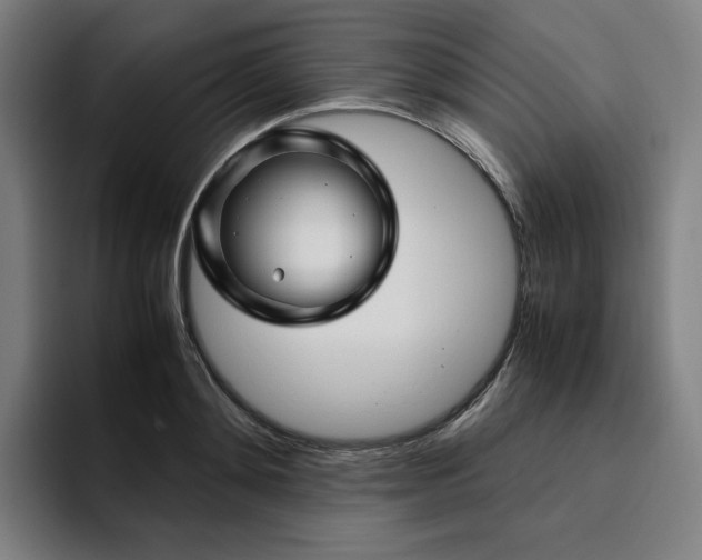 X0000094780892200711161413